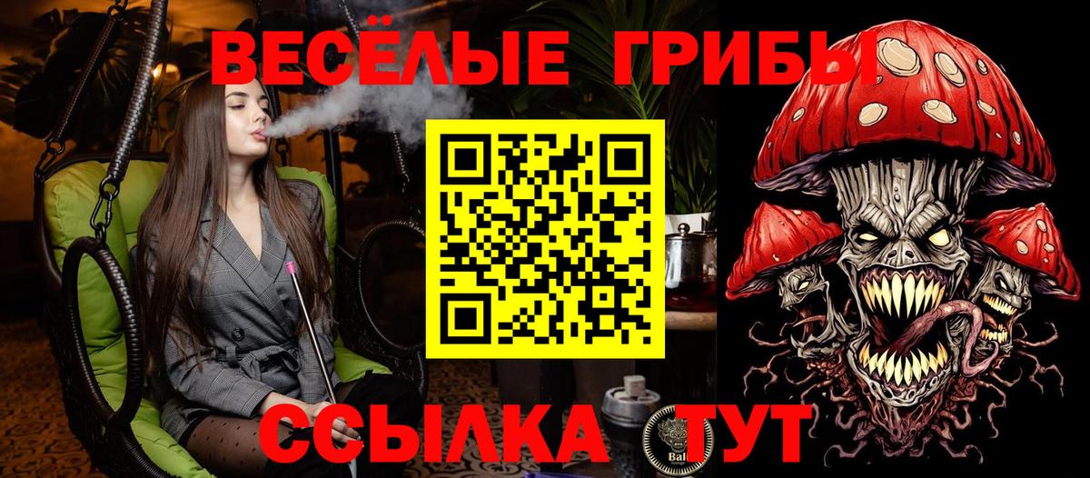 Хабаровск  Галлюциногенные грибы Psilocybe  Вход с VPN 
